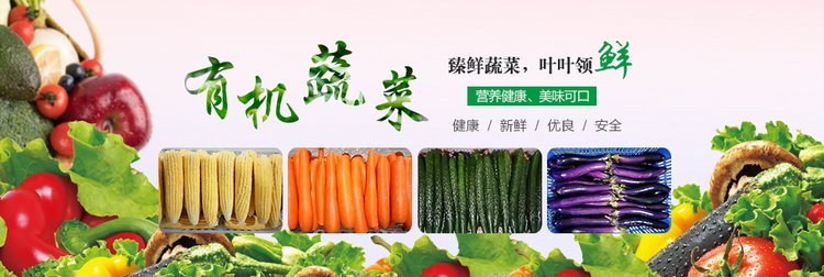 厚街蔬菜批發 從自有基地到大型配送中心的全產業鏈食材服務